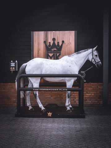 MK Horsepower plate, MK trilplaat voor paarden €5750,-! beschikbaar voor biedingen