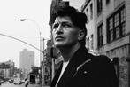 Originele topschilderijen Herman Brood, Ophalen