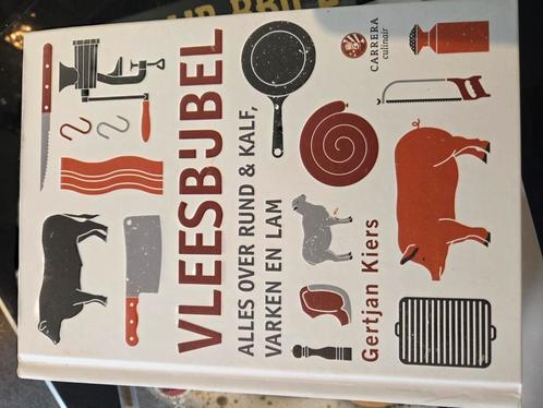 Bas van Wijngaarden - Vleesbijbel, Boeken, Kookboeken, Zo goed als nieuw, Ophalen of Verzenden