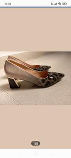 Dames pumps maat 46 - Zo goed als nieuw, Ophalen of Verzenden, Zo goed als nieuw, Pumps