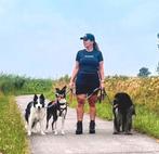 Hondentraining & Gedragsbegeleiding TIJDELIJKE AANBIEDING!, Diensten en Vakmensen, Dieren | Honden | Verzorging, Oppas en Les