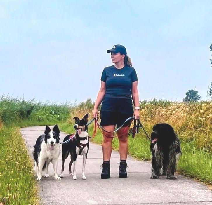 Hondentraining & uitlaatservice, Diensten en Vakmensen, Dieren | Honden | Verzorging, Oppas en Les, Training of Cursus, Uitlaatservice