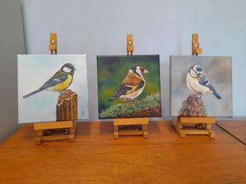Schilderij koolmees puttertje pimpelmees 3 st €99 eigen werk beschikbaar voor biedingen