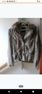 Rino en pelle kort jasje, maat 38, Kleding | Dames, Jassen | Winter, Zo goed als nieuw, Grijs, Rino & Pelle, Ophalen