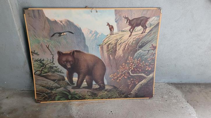 Oude Schoolplaat - Berglandschap met dieren, Antiek en Kunst, Antiek | Schoolplaten, Ophalen of Verzenden