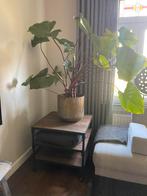 Stoere hoektafel van Hoge Huys 70x70x65, Huis en Inrichting, Tafels | Sidetables, 50 tot 100 cm, Vierkant, Ophalen of Verzenden