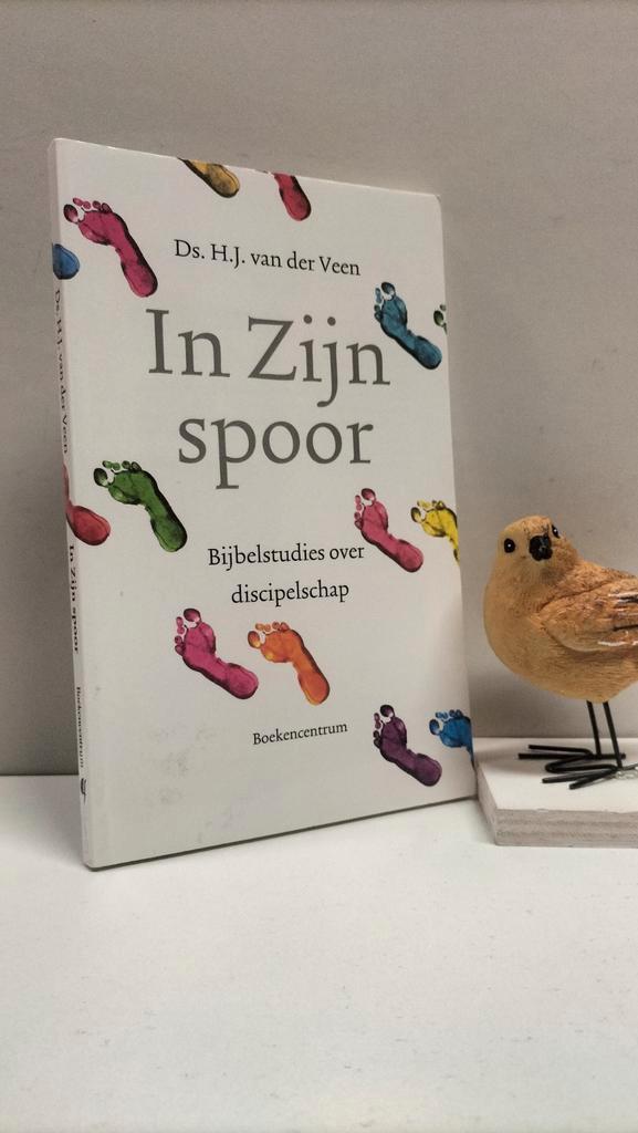 Veen, Ds. H.J. van der; In Zijn spoor, Boeken, Godsdienst en Theologie, Gelezen, Christendom | Protestants, Ophalen of Verzenden