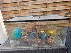 Te koop mooie hamsterkooi, Dieren en Toebehoren, Knaagdieren en Konijnen | Hokken en Kooien, Minder dan 60 cm, Kooi, Minder dan 75 cm