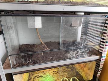 Terrarium 100x50x50 cm beschikbaar voor biedingen