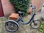 Driewielfiets elektrisch Van Raam maxi 2, Ophalen, Gebruikt, Van Raam