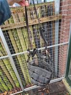 Graasmasker maat Full, Dieren en Toebehoren, Ophalen of Verzenden, Gebruikt, Overige soorten