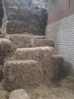 hooi hooipakjes hooibalen, Dieren en Toebehoren, Dierenvoeding, Ophalen, Vee