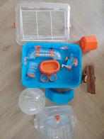 Complete hamsterkooi, Kooi, Minder dan 75 cm, Zo goed als nieuw, Ophalen