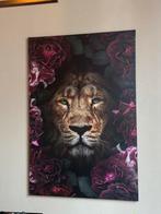 Leeuw schilderij 120x80, Ophalen