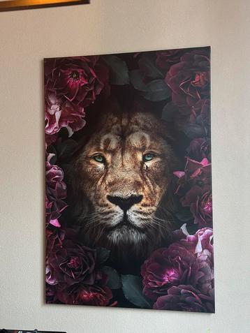Leeuw schilderij 120x80 beschikbaar voor biedingen
