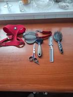 Halsbanden, borstels en scharen voor kleine hond, Muziek en Instrumenten, Strijkinstrumenten | Violen en Altviolen, Ophalen of Verzenden