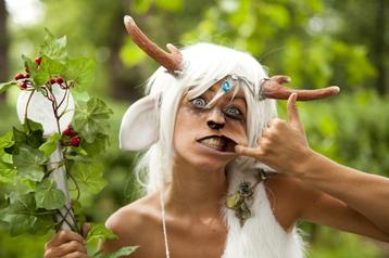 Gezocht: 2 castlefanatic castlefest tickets  beschikbaar voor biedingen
