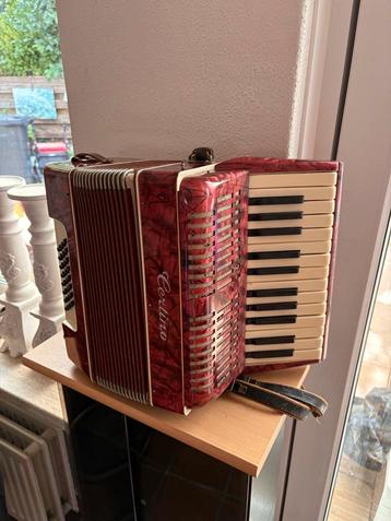 Mooie Cerlino accordeon met koffer beschikbaar voor biedingen