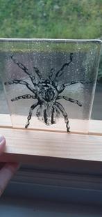 Handgemaakte glas object: spin, Ophalen of Verzenden