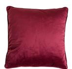 2 x Nieuwe Fluwelen Kussenhoezen. Nu 10,00 Verzendkosten1,00, Ophalen of Verzenden, Nieuw, Rood, Vierkant