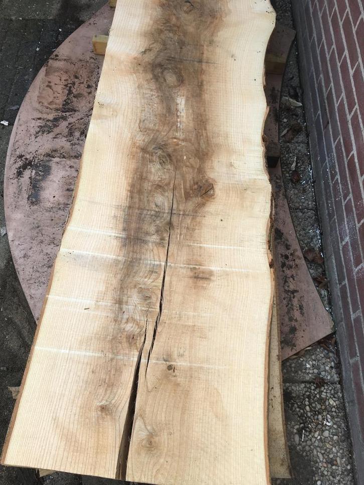 Boomstam Schaaldelen - 8cm dik, Doe-het-zelf en Verbouw, Hout en Planken, Nieuw, Plank, Overige houtsoorten, Minder dan 200 cm
