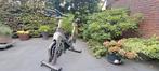 Spinning fiets, Tomahawk., Ophalen, Gebruikt, Metaal, Spinningfiets