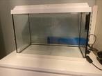 Aquarium, Ophalen, Zo goed als nieuw, Leeg aquarium