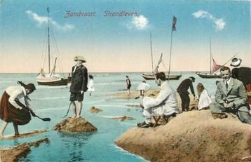 (380-201-037) Zandvoort Strandleven beschikbaar voor biedingen
