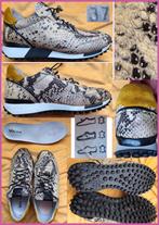 VIA VAI  beige leren sneakers met dierenprint maat 37 zgan, Kleding | Dames, Schoenen, Via Vai, Beige, Ophalen of Verzenden, Sneakers of Gympen