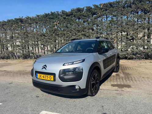 Citroen C4 Cactus 1.2 PureTech Business, Auto's, Citroën, Bedrijf, Te koop, C4 Cactus, ABS, Airbags, Airconditioning, Centrale vergrendeling