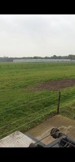 Stalling en weidegang en buitenbak met verlichting, Dieren en Toebehoren, Stalling en Weidegang, Weidegang, 2 of 3 paarden of pony's