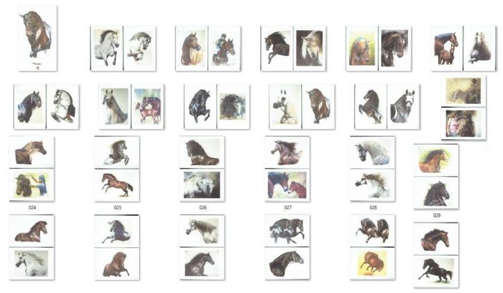 J F Villalba Tarmeno 46 Litho Paarden aquarellen, Antiek en Kunst, Kunst | Litho's en Zeefdrukken, Ophalen of Verzenden