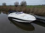 Prins 580 Sundeck - 130 pk Evinrude | 65 km/u | + trailer, 70 pk of meer, Gebruikt, 3 tot 6 meter, Polyester