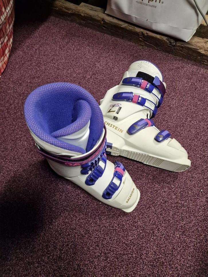 Ski schoenen diverse maten + stokken en tas, Sport en Fitness, Skiën en Langlaufen, Gebruikt, Schoenen, Skiën, Overige merken