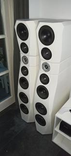 High-End DIY Luidsprekers met Scan Speak & Tang Band Units, Ophalen