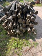 Kastaje palen vergrijsd  nieuw 250 en 300/8-10 cm afrasterin, Ophalen of Verzenden, Nieuw, 250 cm of meer, Palen