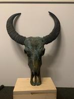 Buffel skull 75x55cm, Ophalen, Zo goed als nieuw