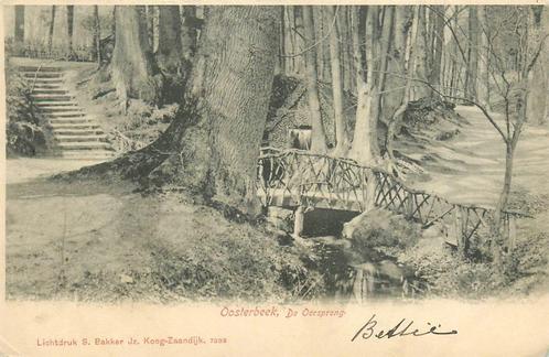 (387-202-025) Oosterbeek De Oorsprong, Verzamelen, Ansichtkaarten | Nederland, Gelderland, Verzenden