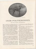 politiehonden oud artikel, Verzamelen, Foto's en Prenten, Ophalen of Verzenden, Voor 1940, Gebruikt, Prent