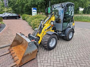 WACKER NEUSON WL 25 (bj 2020) beschikbaar voor biedingen