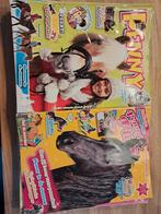 Penny & Penny Plus 2011, Ophalen of Verzenden, Zo goed als nieuw, Damesbladen