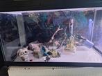 Aquarium 60x30x30 incl toebehoren, Ophalen, Gebruikt, Leeg aquarium