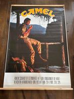 Camel poster, Ophalen of Verzenden, Zo goed als nieuw, Rechthoekig Staand