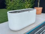 Witte planten bak 120x50x60cm, 100 cm of meer, Nieuw, Beton, Rechthoekig