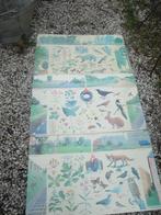 3 verschillende schoolplaten natuurplaten, Antiek en Kunst, Curiosa en Brocante, Ophalen of Verzenden