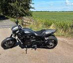 Harley Davidson streetrod, Motoren, 2 cilinders, Particulier, Meer dan 35 kW, Overig