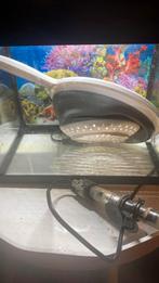 Super fisch aquarium 20 liter komt uit rook vrij huis, Ophalen, Zo goed als nieuw, Grind, Zand of Voedingsbodem