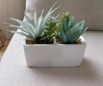 klein wit stenen bloembakje met kunstplantjes / vetplantjes, Ophalen of Verzenden, Zo goed als nieuw, Binnen