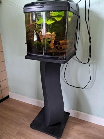 Aquarium 30 x 30 x 28. 2x een bak met standaard beschikbaar voor biedingen