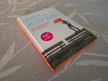 JEZELF ACCEPTEREN - David Dewulf (MET 2 CD's) beschikbaar voor biedingen